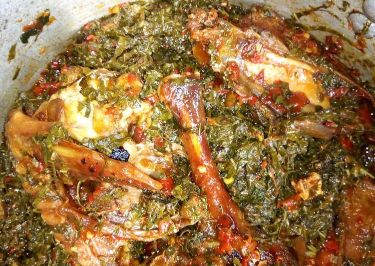 How to Make Tasty Miyar alayyahu da kaza Cooking Basics for Beginners