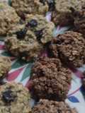 Galletas veganas de avena con arándanos y con kinotos
