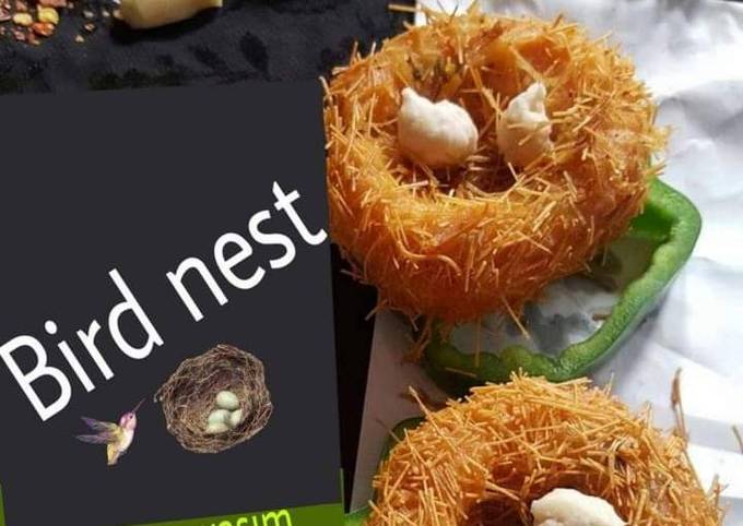 Chicken bird nest