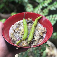 A picture of Kulawong talong.