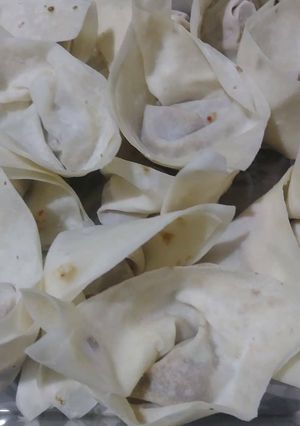 A picture of Chicken wonton.