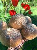 Pane Chetogenico Proteico