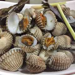 A picture of Kerang Dara Rebus.