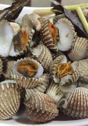 Foto resep Kerang Dara Rebus