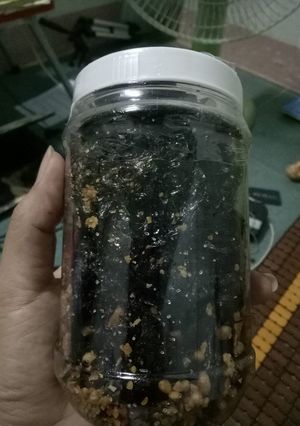 Hình của món Rong biển cháy tỏi giòn ngon.