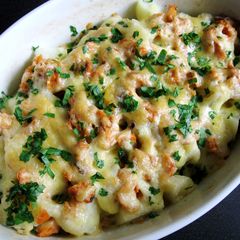 Potato & Canned Salmon Gratin A picture of Potato & Canned Salmon Gratin.