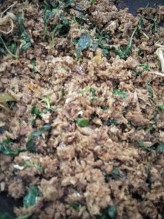 Foto resep Cakalang suir mantaap