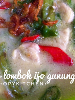 Foto resep Sayur lombok ijo gunungkidul
