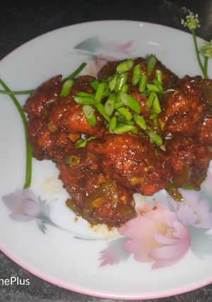 A picture of Veg manchurian.
