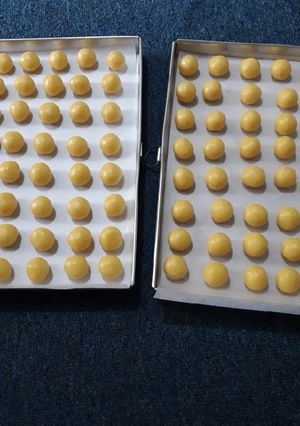 Foto resep Putri Salju