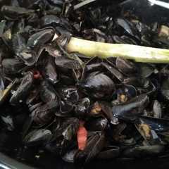 รูปของ Kerang hijau