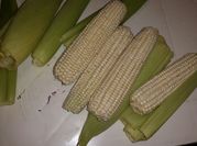 Una foto de comida fria blanda