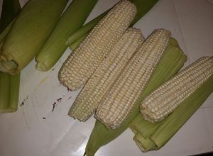 Una foto de Como conservar el elote fresco y blando