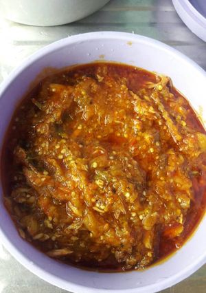 A picture of Garden Egg stew.