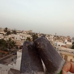 A picture of Oreo ice cream| Oreo Popsicle.