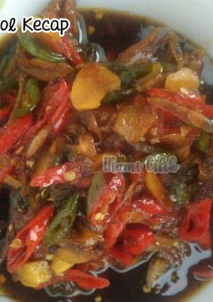 Foto resep 13. Tongkol Kecap