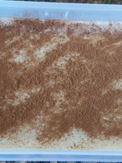 Una foto de Arroz con leche