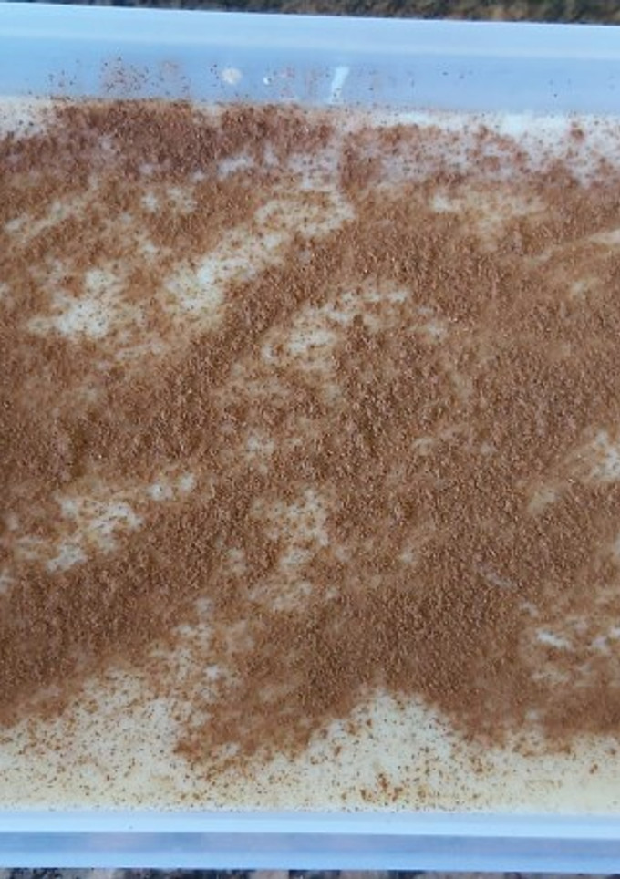 Una foto de Arroz con leche