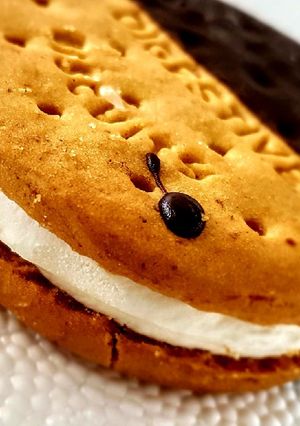Φωτογραφία της συνταγής Digestive ice cream