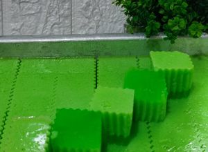 Gambar Agar - Agar Lumut Versi Kenduri