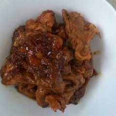 A picture of Ayam Manalagi.