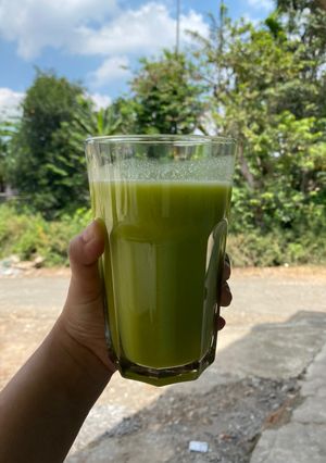 Foto resep Jus Mix (Alpukat, Pisang, Melon, Yakult, Jeruk Nipis, Nanas, Apel) Slow Juicer