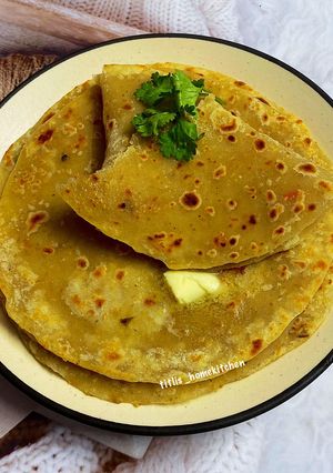 A picture of Masala Oats Paratha.