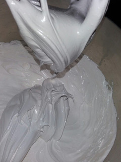 Una foto de Merengue Suizo