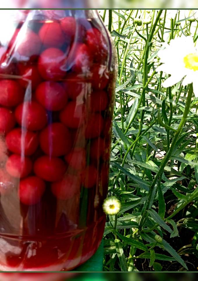 Вишнівка 🍒