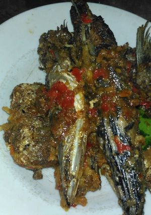 Foto resep Sambal ikan barakuda