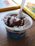 Greek yogurt ice-cream