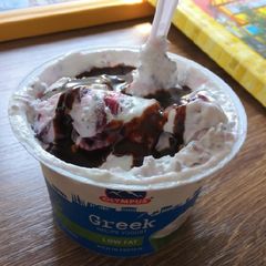 Greek yogurt ice-cream A picture of Greek yogurt ice-cream.