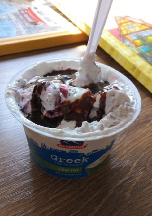 A picture of Greek yogurt ice-cream.