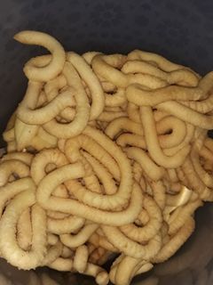 Foto resep Pattholah a.k.a. akar kelapa
