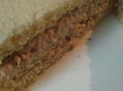 A picture of canned tuna mayo sandwiches