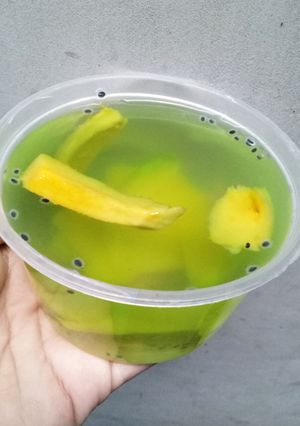 Foto resep Nutrijel jelly melon