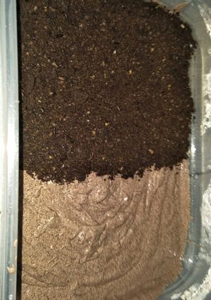 Foto resep Chocolate oreo ice cream