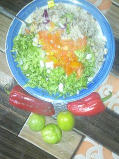 SHINKAFA DA WAKE DA YAJIN KULI-KULI ainihin hoton girkin