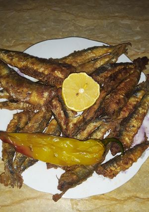 صورة لوصفة سردين 🐟🐟 مقلي يشهي 😋😋😋