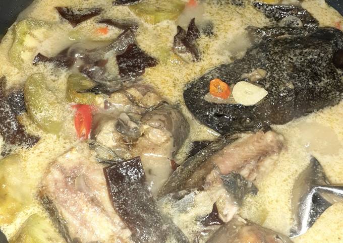 Yuk intip, Resep memasak Lele Terong Jamur Kuah Santan  menggugah selera