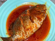 Gambar ikan baronang terasi