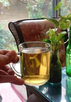 عکسی از دستور دمنوش سیب و پرتقال برای سرما خوردگی