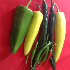 A picture of Chillies and Peppers Sauce.