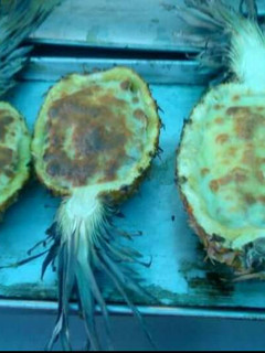 Una foto de Piñas rellenas de mariscos