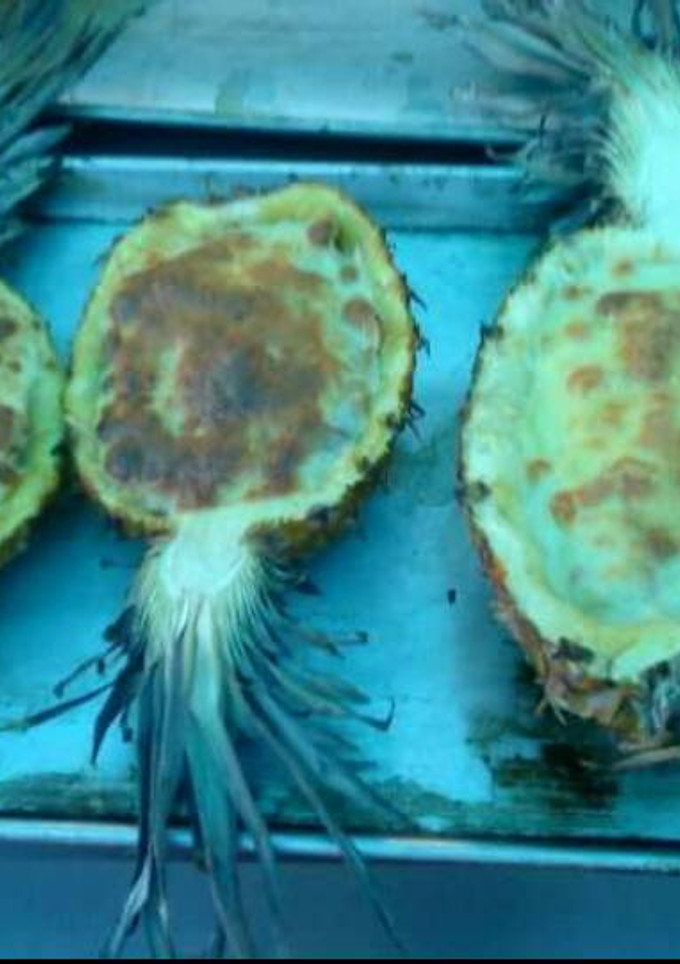 Una foto de Piñas rellenas de mariscos