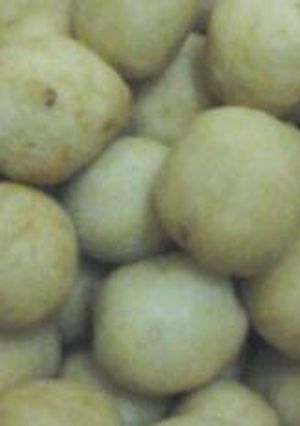 Foto resep Cimol endess