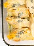 Butternut Squash Stuffed Shells