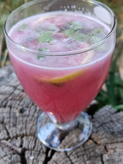 દાડમ નો મોઇતો (Pomegranate Mojito Recipe In Gujarati) રેસીપી મુખ્ય ફોટો