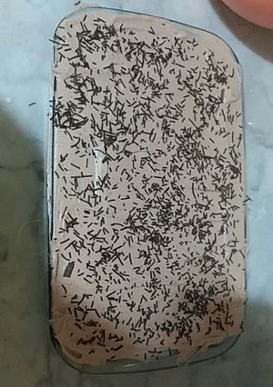 صورة لوصفة مسكوتة
