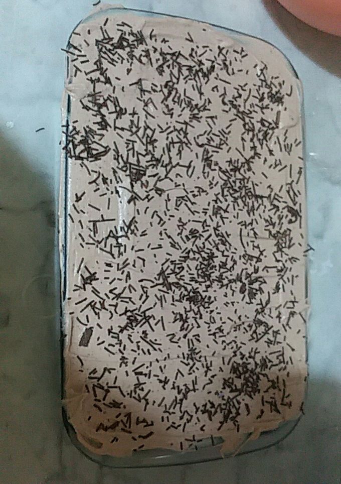 صورة لوصفة مسكوتة